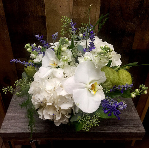 Subtle Sophistication - A22