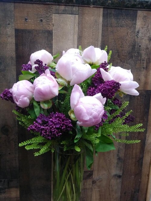 Peonie Pleasure - A46