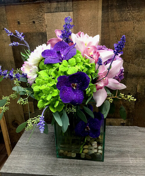 Orchids Everywhere - A49