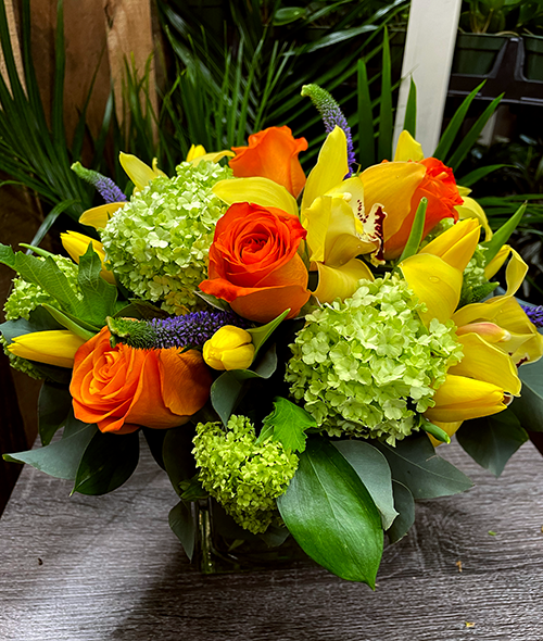 Evening Elegance - C2