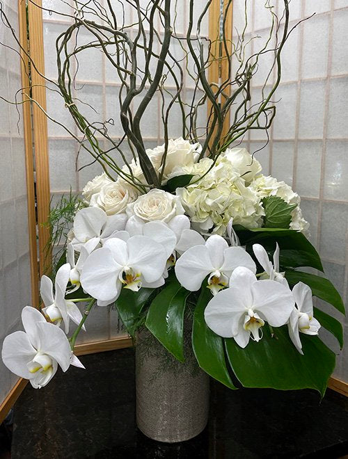 Alabaster Sophistication - D7