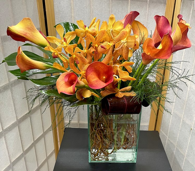 Orange Outburst - E13