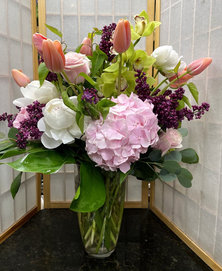 Cacophony of Color - Sp17