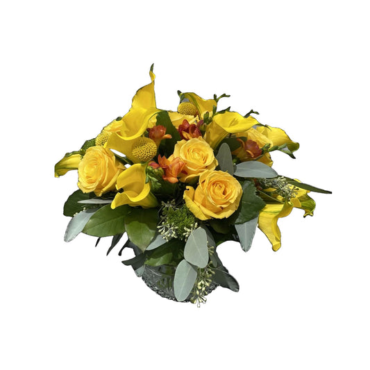 Beauty of Yellow Colors