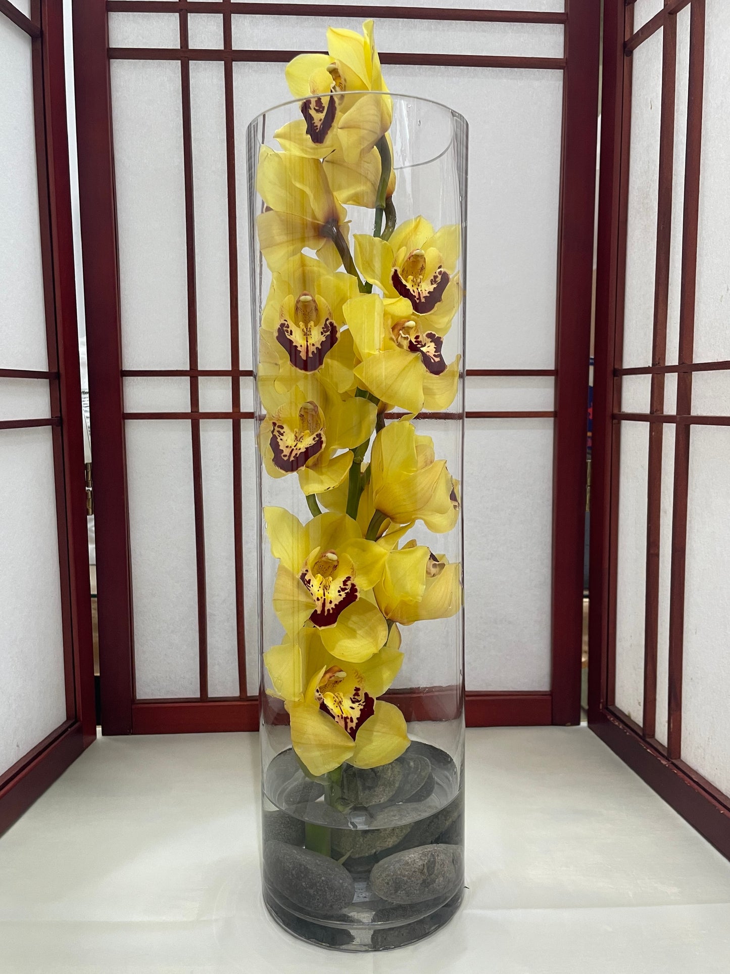 Cymbidium Orchids - In A Vase