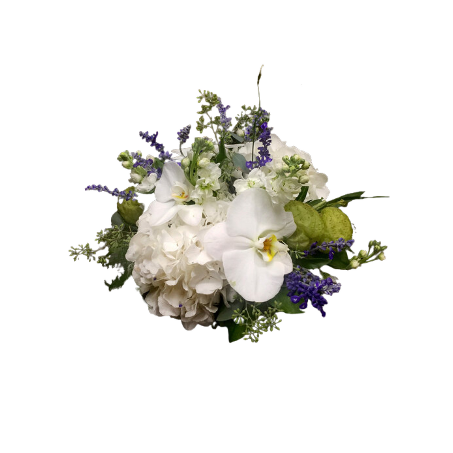 Subtle Sophistication - A22