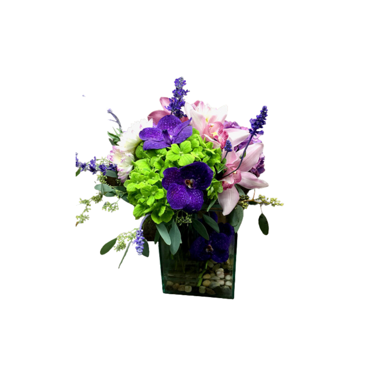 Orchids Everywhere - A49