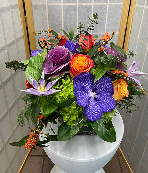 Flash of Fall - D19