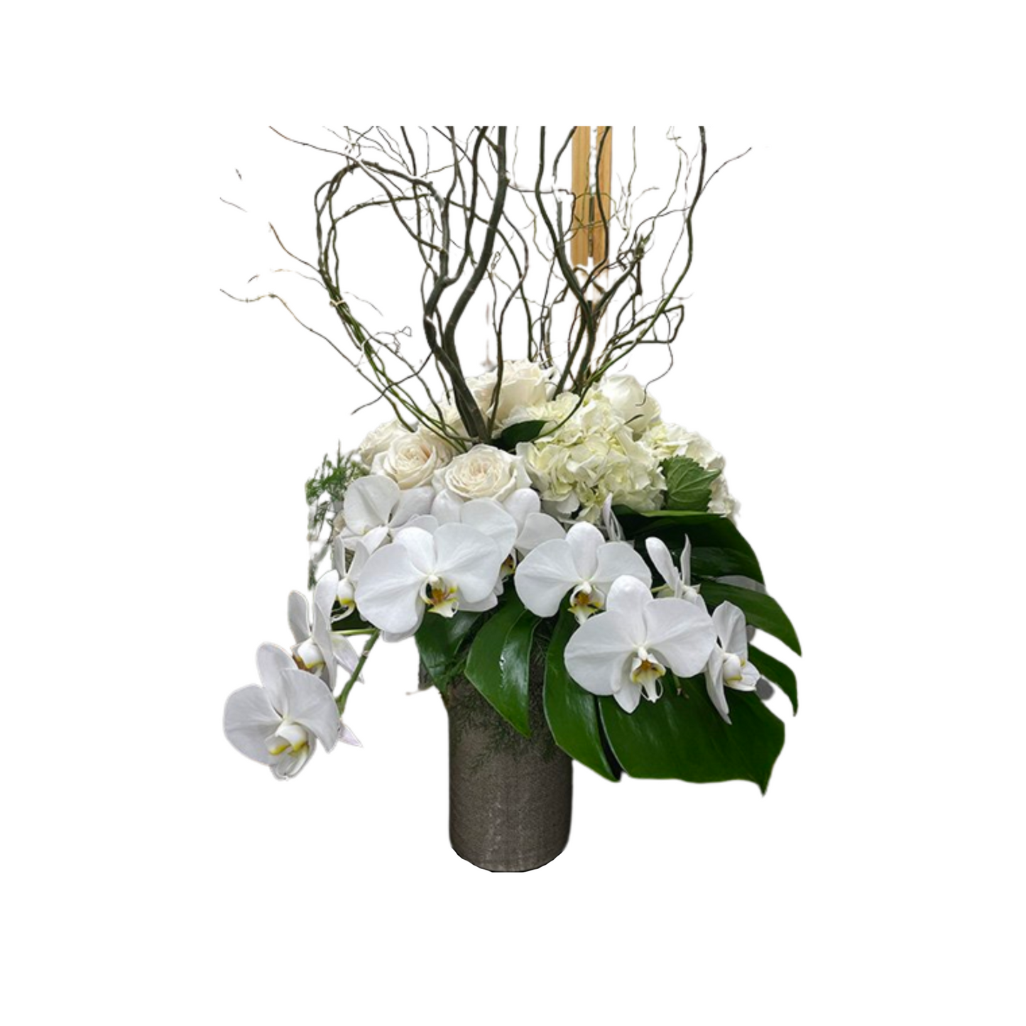 Alabaster Sophistication - D7